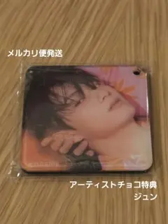 SEVENTEEN アーティストチョコ マグネット ジュン セブチ グッズ