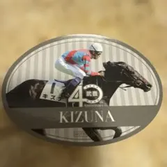 武豊40周年記念 キズナ 缶バッジ 日本ダービー勝利 チラシ付き - メルカリ