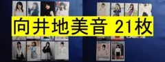 AKB48 向井地美音 21枚 生写真(管理No.A-219+)