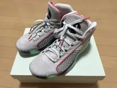 【試着のみ】Nike Air Jordan 38 八村塁モデル28.5cmのサムネイル