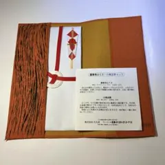 ご祝儀袋セット 花模様 オレンジ