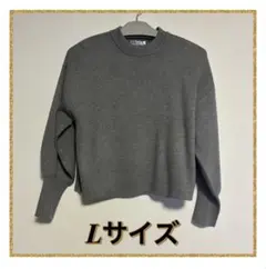 Rose Farm グレー Lサイズ 長袖セーター　ショート丈　らめ　ラメ