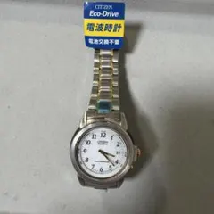 CITIZEN Eco-Drive radio clock men's watch