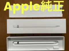 ほぼ未使用-おまけ付きApple Pencil 第一世代 A1603 s-l400.jpg