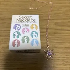 Secret Necklace ディズニー ラプンツェル