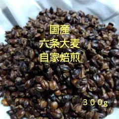 Item thumbnail for item 4008300e-9e9e-43f2-b20b-5d55c2f4130b