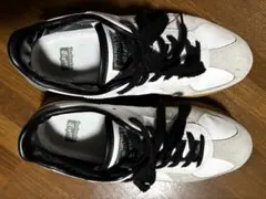 オニツカタイガー　デレシティ　26.0