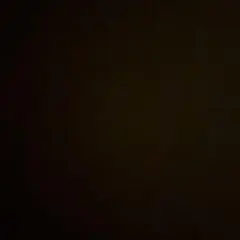 専用