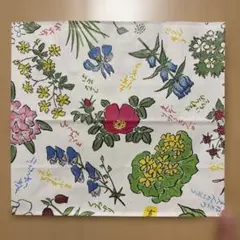 六花亭 白い恋人 紙袋 ショッパー 5枚セット 北海道土産