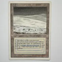 2026年最新】ツンドラ mtgの人気アイテム - メルカリ
