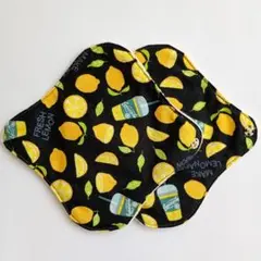 Item thumbnail for item faeb3291-c623-4b71-a55b-e8b1f4f4db61