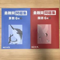 2026年最新】四谷大塚予習シリーズ6年の人気アイテム - メルカリ