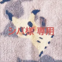 ゲンムエンペラー　シク　4枚 2025年最新】ゲンムエンペラー 4枚の人気アイテム - メルカリ