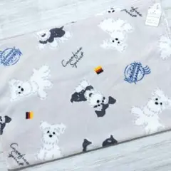 Item thumbnail for item d187aa49-ef74-4f13-b21f-0e11f2b5a095