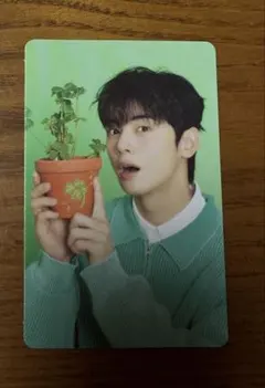 マシマロ様専用　ASTROチャウヌシーグリ　ランダムトレカ