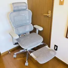 美品☆定価約15万】エルゴヒューマンプロ オットマン付 終売モデル 