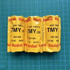 Item thumbnail for item 059aa91e-6a56-4ad6-8962-a78d373dae62