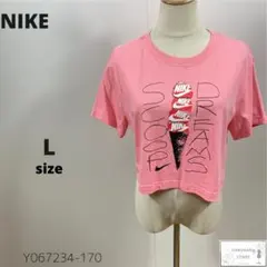 NIKE ナイキ Tシャツ カットソー 短丈 ルーズフィット プリントT 万能