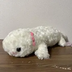 AMAZING OCEAN　ウーパールーパー　ローズボア　ミゼットぬいぐるみ