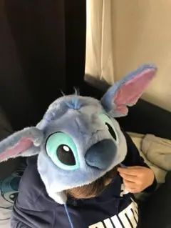 ディズニー ぬいぐるみ ポップコーンケース