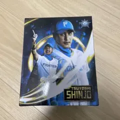 2025年最新】新庄剛志 ボブルヘッドの人気アイテム - メルカリ