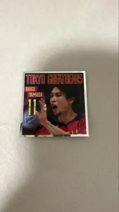 グレベア 柳田将洋 ベアガチャ アクスタ ステッカー 東京グレートベアーズ グレベア 柳田将洋 ベアガチャ アクスタ 東京グレートベアーズ