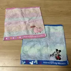 東京ディズニーリゾート タオル2枚セット