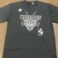 WOLFDOGS CUP メルカリ - XO 2025記念Tシャツ CUP WOLFDOGS XO Tシャツ ウェア