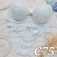 №1483【C75】ブラジャー＆フルバックショーツ