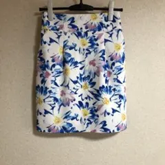 Item thumbnail for item 8c097476-dbcd-4bd7-a6ba-41ed6d50a767