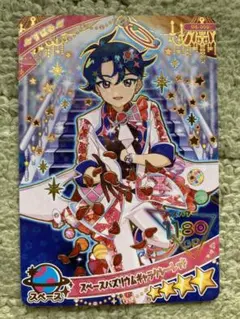 【新品未使用おまけ付き】アイプリグミVol.6 G4-005すばる