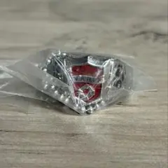 家庭教師ヒットマンREBORN! ヴァリアーリング 新品 ボンゴレリング ①