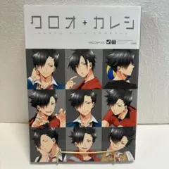 ＨＱ＋カレシ　HQBF 26冊セット　ハイキューカレシ　ハイキューアンソロジー HQ＋カレシ HQBF 26冊セット ハイキューカレシ ハイキュー