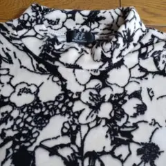 Item thumbnail for item 93e0baa7-1be4-4851-8bcc-2ff453195215