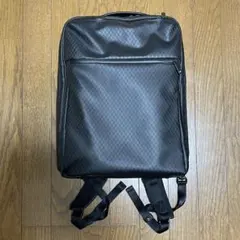 【美品】ace.GENE リュック ガジェタブル ランバス2 A4 13L