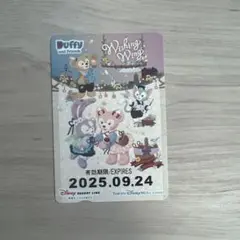 ディズニーリゾートライン　フリー切符　ウィッシング・ウィングス　期限切れ