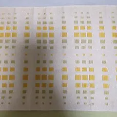 Item thumbnail for item 021d5ef1-b6c9-42ed-86b7-89329539225d