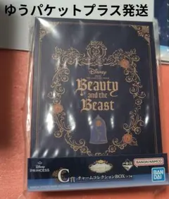 ディズニープリンセス　一番くじ　Ｃ賞　チャームコレクションBOX　美女と野獣