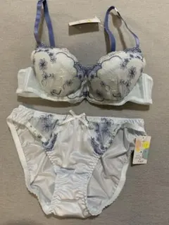 B70M フェアリー　花柄刺繍×レース　ブラ＆ショーツセット　ブルー