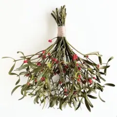 Item thumbnail for item 157ca4b3-a39e-45a4-ba50-641b3efc3f65