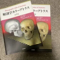 解剖学カラーアトラス　第9版 解剖学カラーアトラス 第9版 | J.W.Rohen，横地千仭 ，E.Lutjen