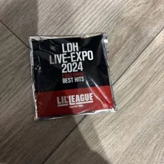 LDHLIVEEXPO2024 LILLEAGUEアクリルキーホルダー 難波碧空