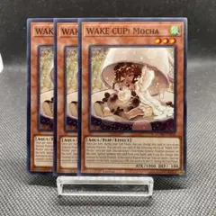 WAKE CUP！モカスリーブ（新品100枚）　モカ マキ アル プリシク各3枚 2026年最新】WAKE CUP！ モカの人気アイテム - メルカリ
