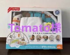 Fisher-Price パーフェクトセンス デラックスジム