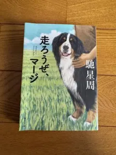 走ろうぜ、マージ