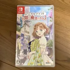 Nintendo Switch マジカルクラフト 猫と魔法のドレス