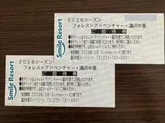 フォレストアドベンチャー・湯沢中里 ご招待券 2枚