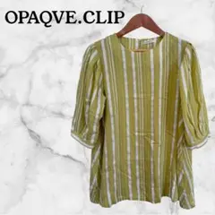 【OPAQUE.CLIP】 ストライプ五分袖シャツ　グリーン　春夏秋