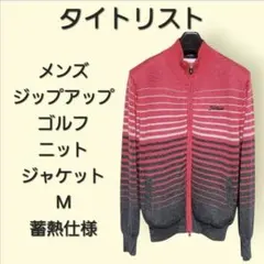 Item thumbnail for item 23b65775-f4bb-412f-9114-084a1ba7823d