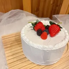 フェイクケーキ